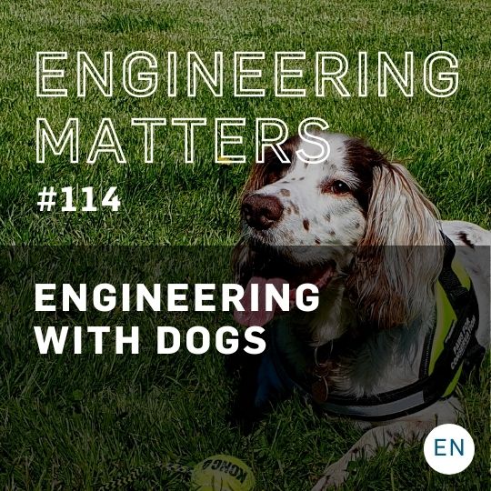 Engineering with dogs