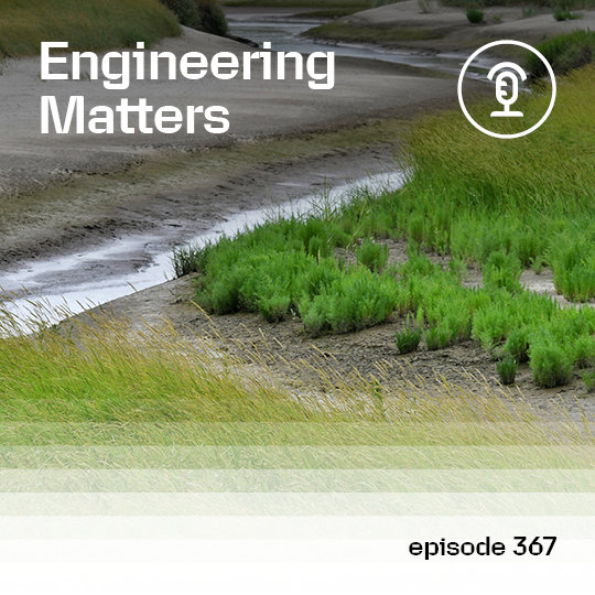 Nature Based Solutions: The End of Grey Engineering
