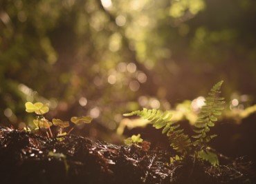net-zero-reports